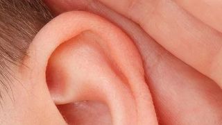 Bărbat mușcat de o haită de c&acirc;ini p&acirc;nă i-au smuls urechea