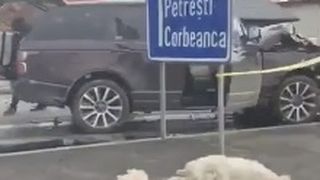 Accident de proporții la Balotești. 