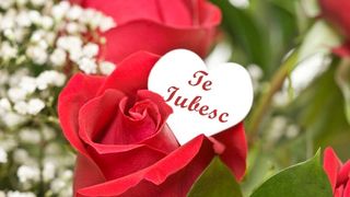 Mesaje de Ziua Indragostitilor 2020 - Urari de Valentine s Day 2020 - Ziua Indragostitilor 2020 mesaje - Mesaje de iubire - Mesaje de dragoste 2020 - Valentine s Day 2020 mesaje de dragoste