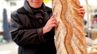 Filosoful Mihai Șora revoltat pe tăierea arborilor: &bdquo;&Icirc;ntr-o bună zi, vom admira copaci doar &icirc;n muzee.&rdquo;