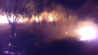 Buzău: Puternic incendiu de vegetaţie &icirc;ntr-o zonă cu conducte de gaz. Focul s-a &icirc;ntins pe 150 de hectare