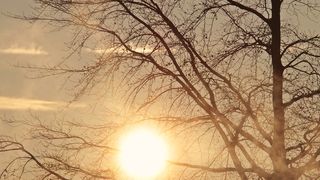 Meteo, joi, 13 februarie. Vine primăvara sau iarna &icirc;și intră &icirc;n drepturi?