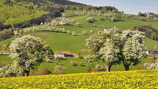C&acirc;nd vine primăvara &icirc;n Rom&acirc;nia 2020? Anunț de ultimă oră de la meteo