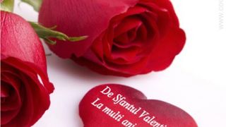 Felicitari de ziua indragostitilor