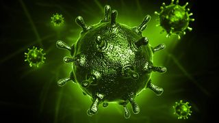 Coronavirus
