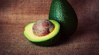 avocado necopt