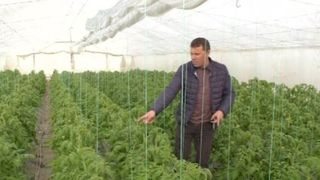 VIDEO | Fructe și legume bio. Care este secretul fermierilor