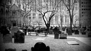  &bdquo;Moartea Neagră&rdquo; a ucis o treime din populație