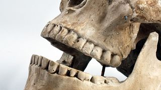  &bdquo;Moartea Neagră&rdquo; a ucis o treime din populație