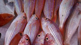 bors de peste reteta 