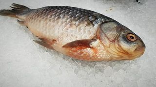 bors de peste reteta 