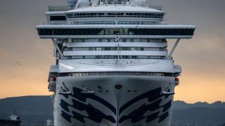 Un al doilea rom&acirc;n de pe nava de lux Diamond Princess a fost depistat pozitiv cu noul coronavirus