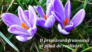 Mesaje de 1 Martie 2020 - Felicitari de 1 Martie 2020 - Urari de 1 Martie 2020 - Imagini cu mesaje de primavara