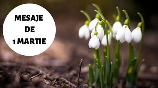 Mesaje de 1 Martie 2020. Imagini cu mesaje de primăvară