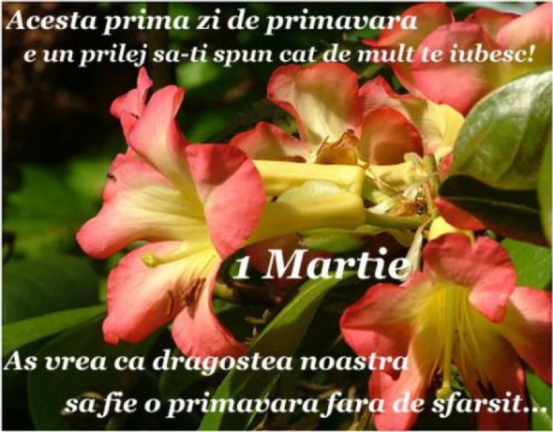 Mesaje de 1 Martie 2020 - Felicitari de 1 Martie 2020 - Urari de 1 Martie 2020 - Imagini cu mesaje de primavara