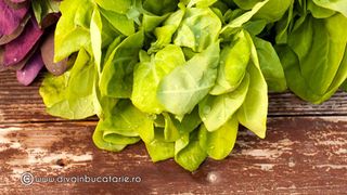 Ciorba de loboda - Ciorba de loboda taraneasca - ciorba de loboda cu usturoi