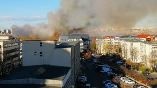 Incendiu Delta Văcărești