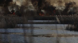 Incendiul din Delta Văcăreşti a fost stins