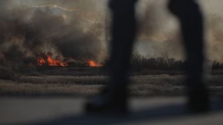 Incendiu Delta Văcărești