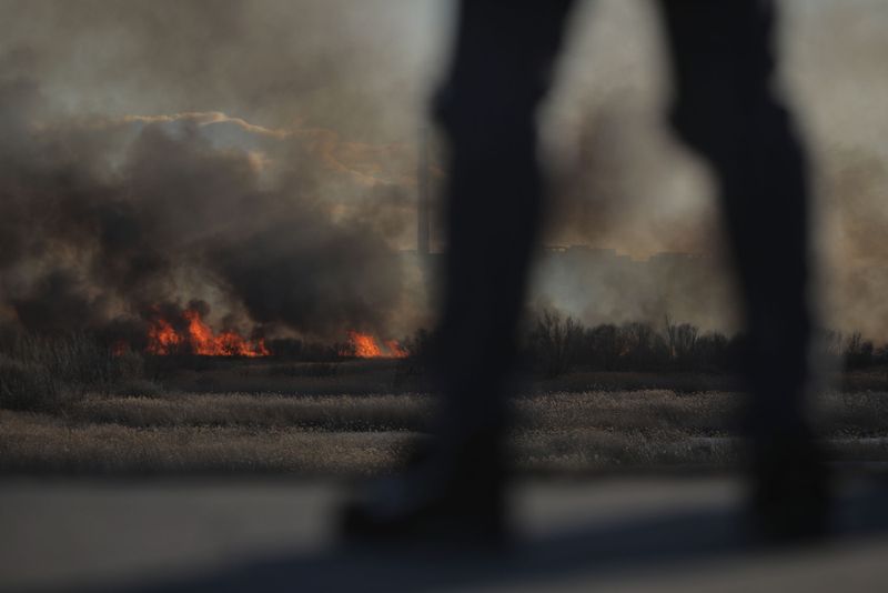 Incendiu Delta Văcărești