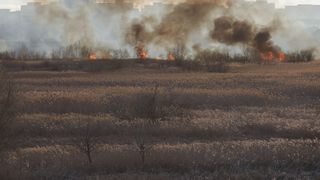 Incendiu Delta Văcărești