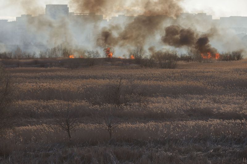 Incendiu Delta Văcărești