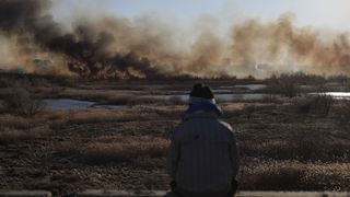 Incendiu Delta Văcărești