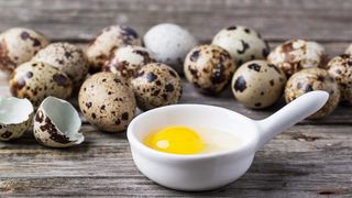 Oua de prepelita - Cura cu oua de prepelita - Tratament cu oua de prepelita