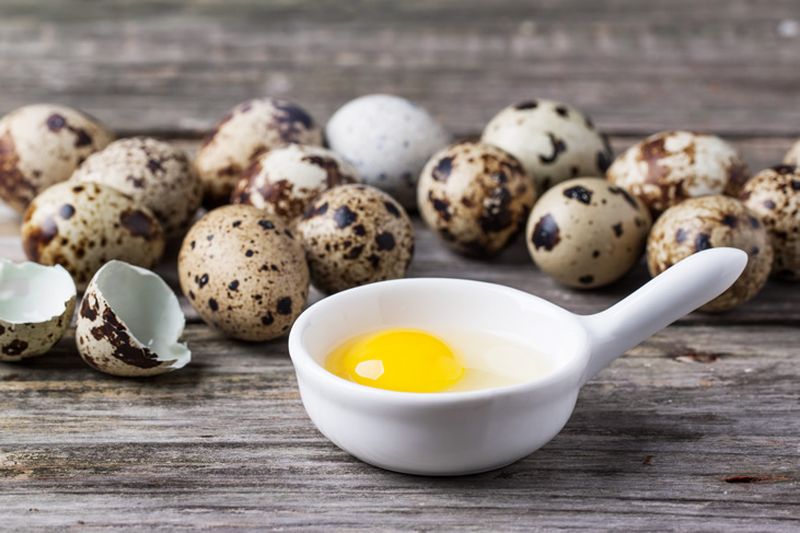 Oua de prepelita - Cura cu oua de prepelita - Tratament cu oua de prepelita