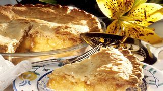 Plăcintă cu mere. Plăcinta cu mere. Rețeta bunicii. Plăcintă de post.