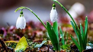 Vremea primavara 2020 - Prognoza meteo