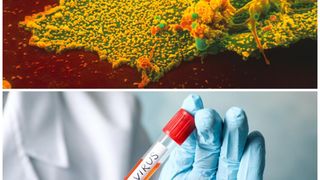 coronavirus spania cazuri confirmate