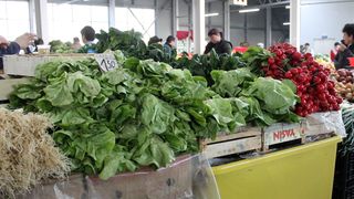 untisor sanatate benficii - untisorul este toxic