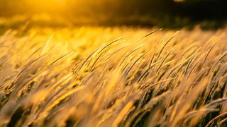 O nouă atenționare meteo! Va fi prăpăd