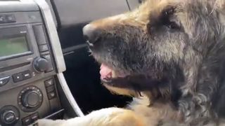 Iancu de la &bdquo;Puterea Dragostei&rdquo; operație de urgență