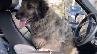 Iancu de la &bdquo;Puterea Dragostei&rdquo; operație de urgență