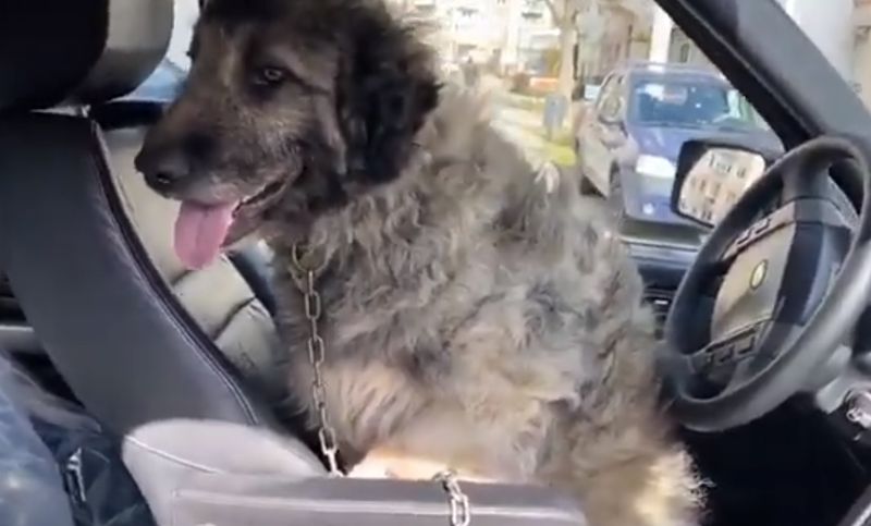 Iancu de la „Puterea Dragostei” operație de urgență