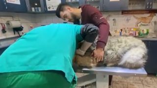 Iancu de la &bdquo;Puterea Dragostei&rdquo; operație de urgență