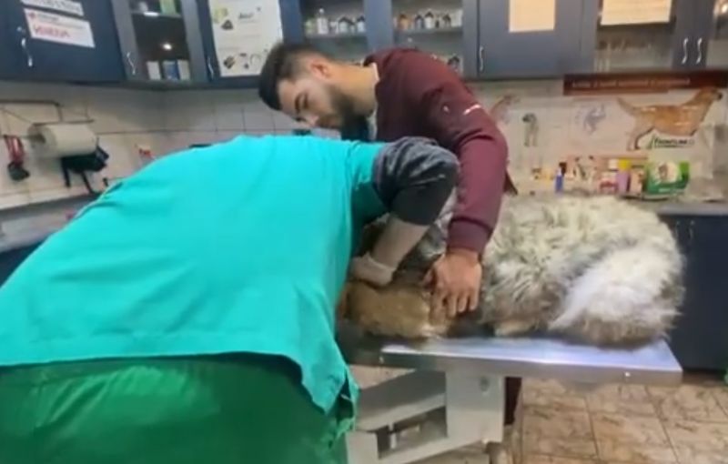 Iancu de la „Puterea Dragostei” operație de urgență