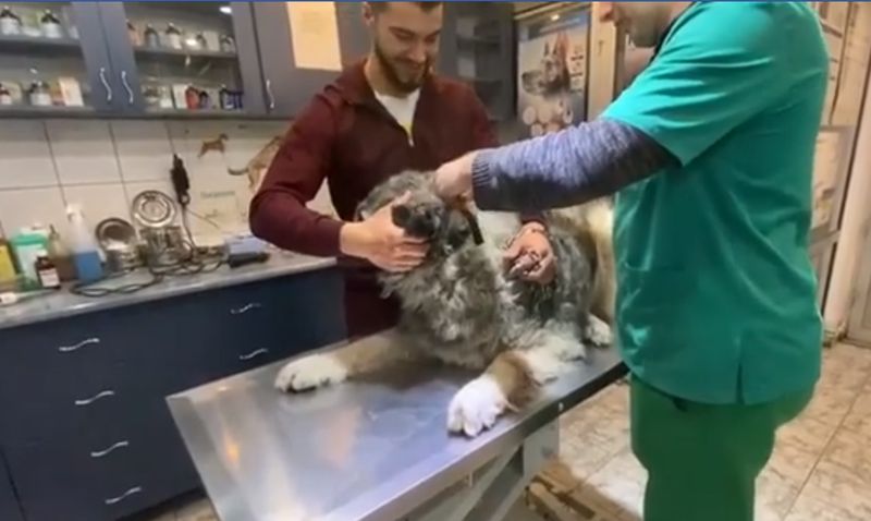 Iancu de la „Puterea Dragostei” operație de urgență