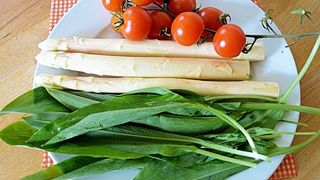 Leurda, planta minune a primăverii. Leurda Beneficii. Leurda elixirul tinereții. Leurda contraindicații