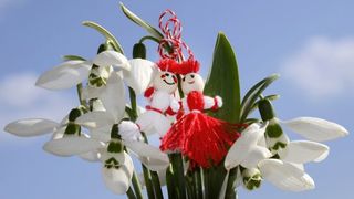 prajitura martisor 1 martie 2020