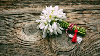 prajitura martisor 1 martie 2020