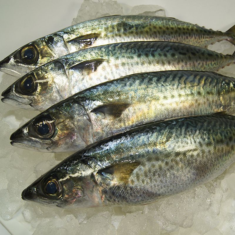 bors de peste reteta moldoveneasca