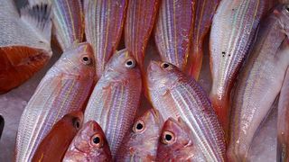 bors de peste reteta moldoveneasca