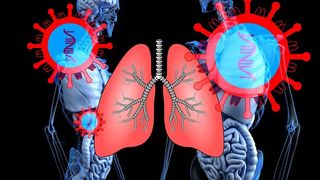 Țara în care CORONAVIRUSUL a făcut ravagii: 66 de morţi şi 1.501 de cazuri de infectare