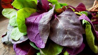 ciorba de post - ciorba de primavara