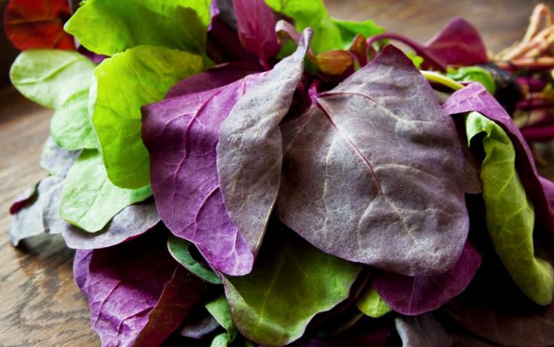 ciorba de post - ciorba de primavara