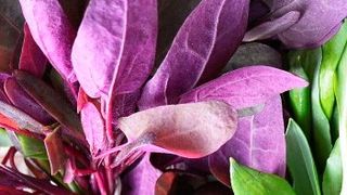 Loboda. Cum se consumă, de fapt, aceste frunze. Puține gospodine știu acest secret