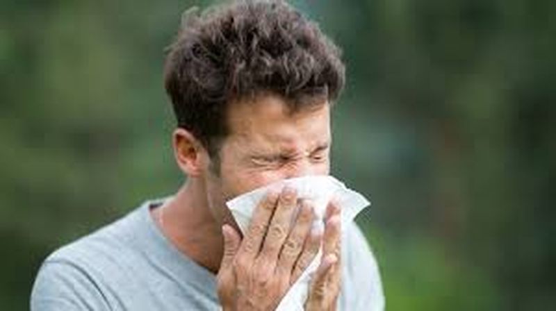 Virusul ucigaș face victime în Franța